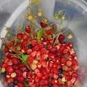 ���� ���� 07.2017 �� ������� ���� ����������