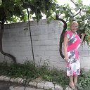 ���� �����, ������������, 72 ���� - ��������� 30 �������� 2017 � ������ ������������