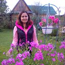 ���� �����, ������, 48 ��� - ��������� 31 ������� 2017 � ������ ����� - ����� 2017�