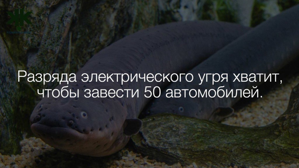   :    - 2  2017  20:41