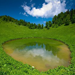 �����, ���������, 46 ���