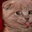 ���� ����, ���������, 47 ��� - ��������� 30 ������� 2017 � ������ ���� ����������