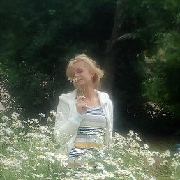 ���� �������, ������� �������� - ��������� 24 ���� 2017