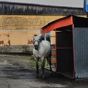 ���� �������� ���������, ������ �����, 66 ��� - ��������� 19 �������� 2017 � ������ ���� ����������