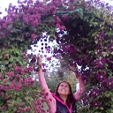 ���� �����, ������, 48 ��� - ��������� 31 ������� 2017 � ������ ����� - ����� 2017�