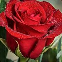 ���� ���, ������� - ��������� 28 ������� 2017 � ������ ������ ��������