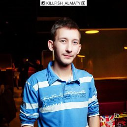 �����, �����������, 36 ���