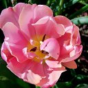 14.05.2017 �� ������� ���� ����������� (!) ��������)�