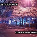 ���� ���������, ��������, 29 ��� - ��������� 12 ������� 2017 � ������ ������ ��������