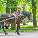 ���� ��������, �����-���������, 51 ��� - ��������� 10 �������� 2017 � ������ ��������� 01.08.2017�