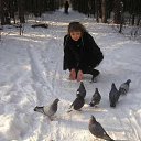   -, , 40  -  28  2017    