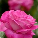  , -, 62  -  28  2017    