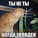 ���� ��������, �����, 44 ���� - ��������� 24 ���� 2017 � ������ �������