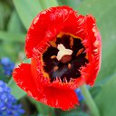 ��� 2017 �� ������� ���� ����������� (!) ��������)�