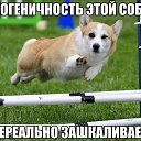 ���� ��������, �����-��������� - ��������� 13 ������� 2017 � ������ ������ ��������