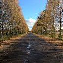 ���� �����, �������, 38 ��� - ��������� 18 ������� 2017 � ������ ���� ����������