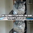 ���� ����, ����� - ��������� 5 ������ 2017 � ������ ������ ��������