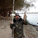 ���� ������, ������, 46 ��� - ��������� 22 ������� 2017 � ������ ���� ����������