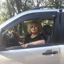 ���� �����, ����� - ��������� 24 ���� 2017 � ������ ������ ��������