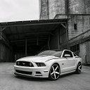 ���� ����������, ���������, 47 ��� - ��������� 10 ���� 2017 � ������ ���� ����������