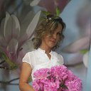 ���� �������, ������ - ��������� 23 ���� 2017 � ������ ���� ����������