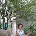 ���� �������, ���������� - ��������� 11 ������ 2017 � ������ ���� ����������