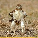 ���� �������, ������ - ��������� 28 ������� 2017 � ������ ���� ����������