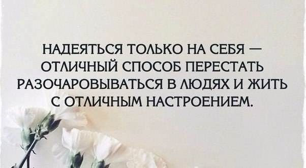    - 3  2017  11:53