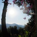  ,  -  1  2017    - 2017