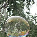 ���� �����, ���������, 40 ��� - ��������� 23 ��� 2017 � ������ ���� ����������