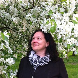 �����, �����-���������, 54 ����