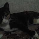 ���� ���, ����, 51 ��� - ��������� 13 ���� 2017 � ������ ���� ����������