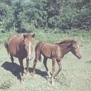 ���� ����� �������, ������, 59 ��� - ��������� 15 ������� 2017 � ������ ���� ����������