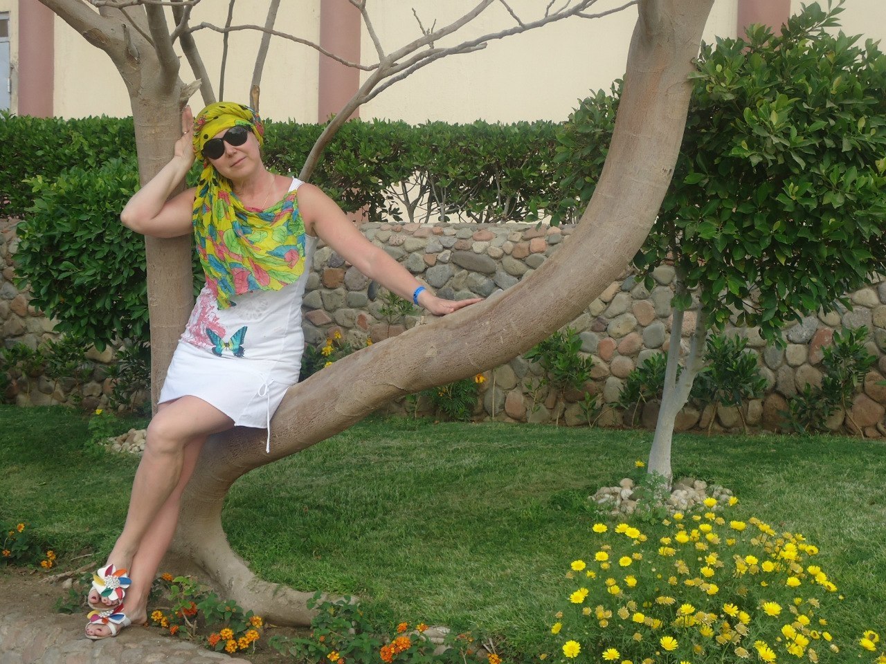 e cap  aoc,  e  eae  y! x.... yc yo x  ...