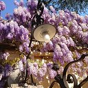 ���� Giuseppe, ������ - ��������� 31 ��� 2017 � ������ ���� ����������