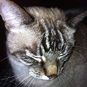 ���� �������, ������, 45 ��� - ��������� 22 ��� 2017 � ������ ���� ����������