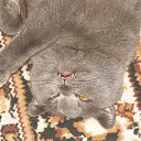 ���� Oleg, ������, 53 ���� - ��������� 14 ���� 2017