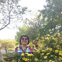 ���� �������, ������������ - ��������� 29 ��� 2017 � ������ ��������� �� �������