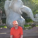 ���� �����, �������� - ��������� 10 ���� 2017 � ������ ���� ����������