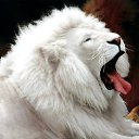 ���� ���������, ������, 58 ��� - ��������� 16 ������ 2017 � ������ ���� ����������