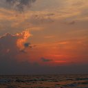  ., , 51  -  26  2017    