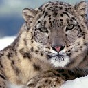 ���� Aleksey, ��������, 60 ��� - ��������� 24 ���� 2017 � ������ ������ ��������