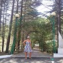 ���� �������, �����-���������, 55 ��� - ��������� 20 �������� 2017 � ������ ��� - ������������