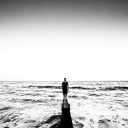 ���� �����, ���������, 39 ��� - ��������� 3 ��� 2017