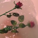 ���� ���, ������ - ��������� 13 ������� 2017 � ������ ���� ����������