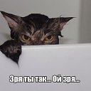 ���� ��������, ������, 40 ��� - ��������� 1 ������� 2017