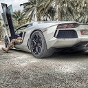 ���� No Name, ��������� - ��������� 6 ������� 2017 � ������ ������ ��������