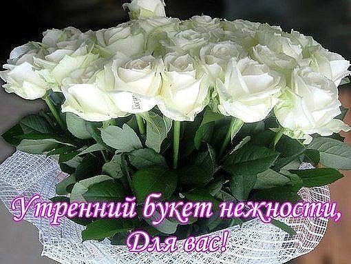 ЗАЦВЕЛА ЧЕРЕМУХА.ЗАЦВЕЛА ЧЕРЕМУХА Зацвела черемуха душистая Белым цветом, голову дурманя, Как ...