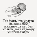 ���� ����, �����������, 63 ���� - ��������� 28 ������� 2017 � ������ �������� �������-�������