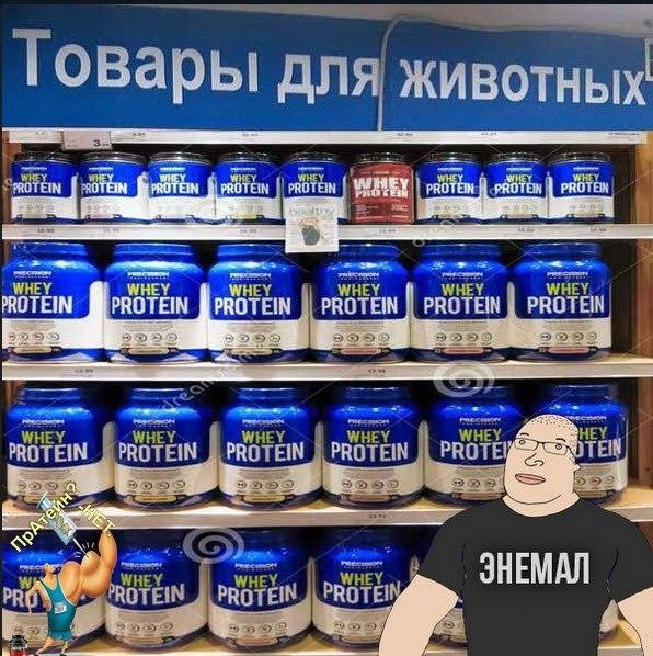 SportFeed - 31  2017  03:48